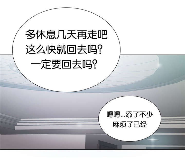 第35章：质量