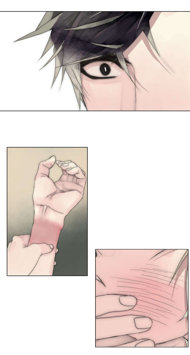 第41章：关心