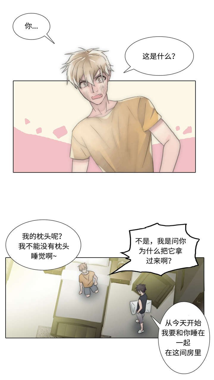 第52章：清洗