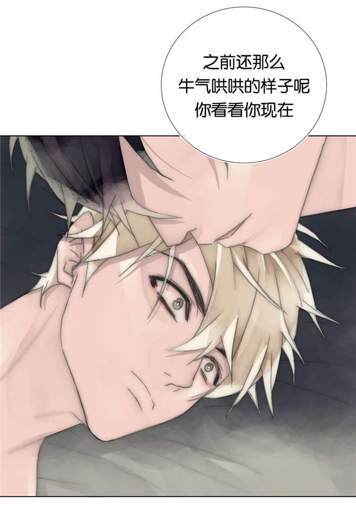 第63章：总算回来了