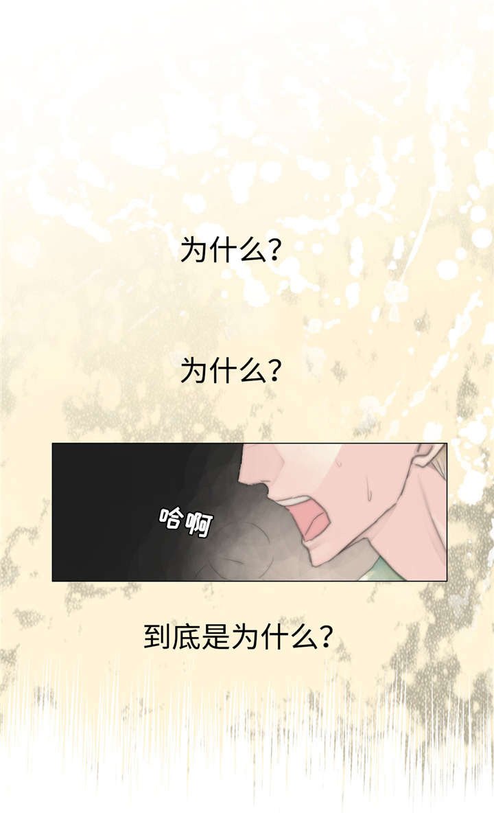 第8章：再次出现