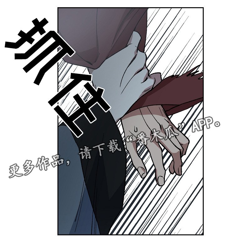 第120章：手足之情