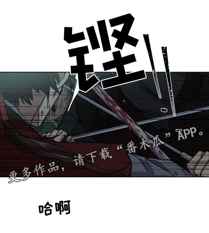 第70章：刺客