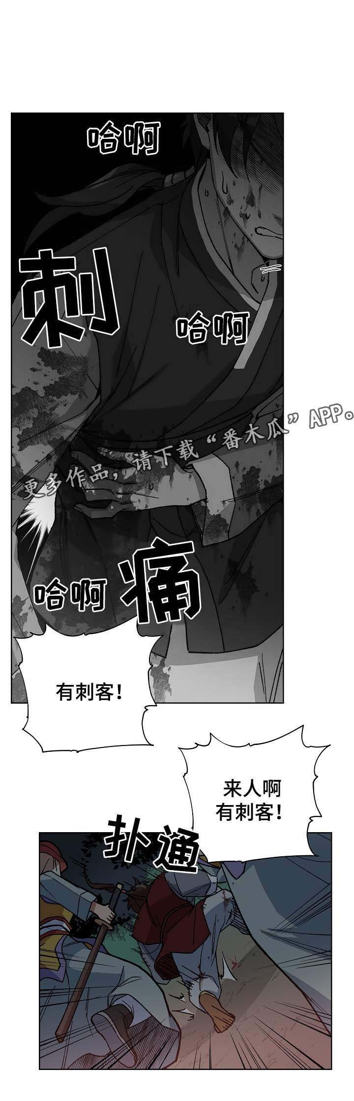 第70章：刺客