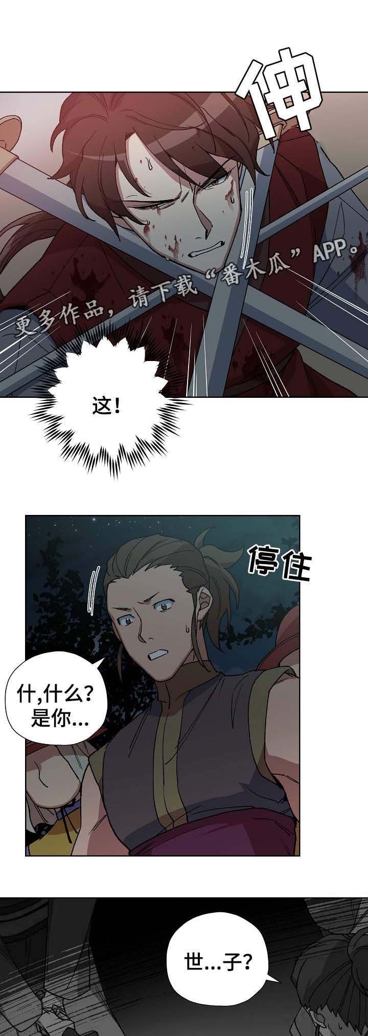 第70章：刺客