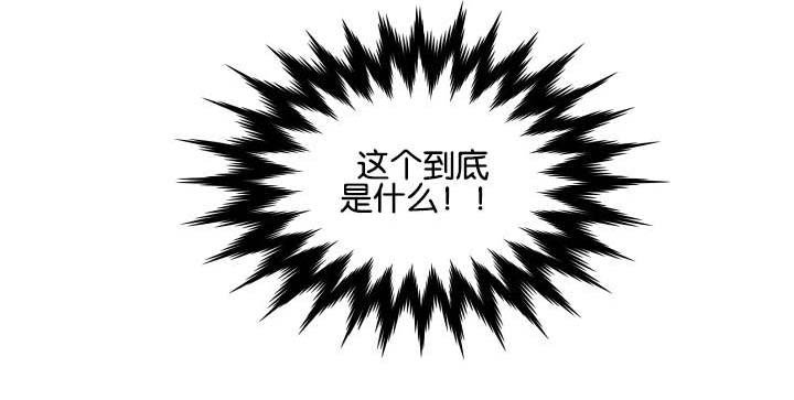 第10章：马丁的才能