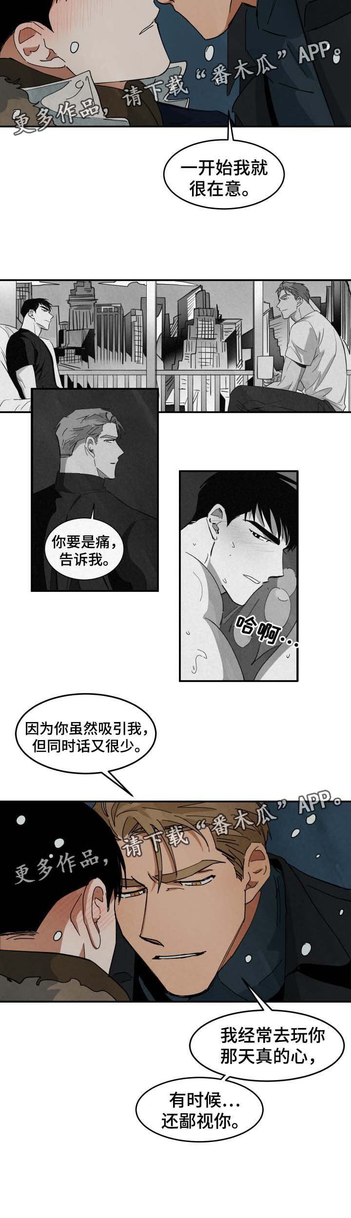 第37章：回答