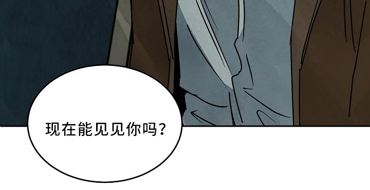 第71章：可以见见你吗?
