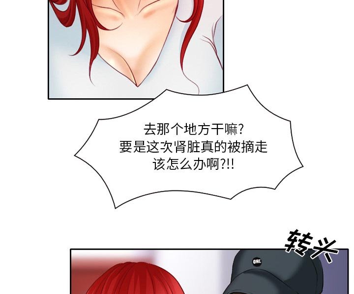 第25章：离家出走的小狗