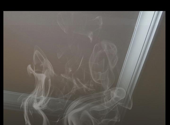 第37章：像蚊子一样的女人