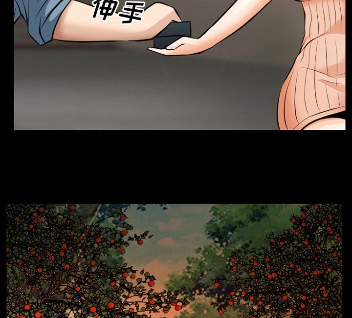 第37章：像蚊子一样的女人
