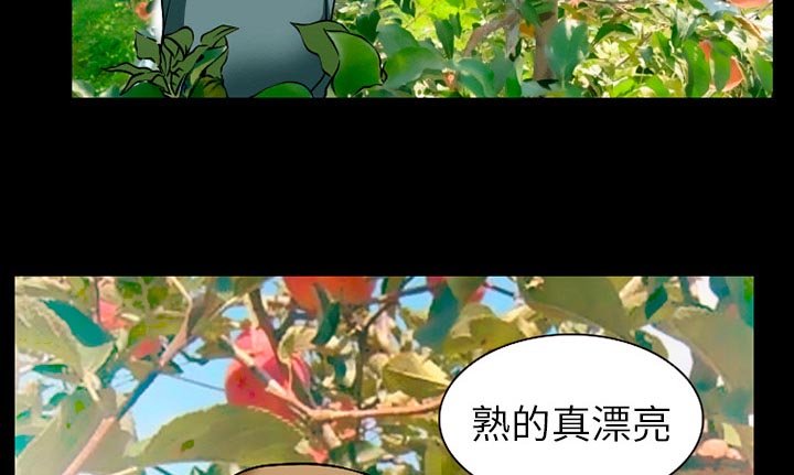 第44章：都准备好了