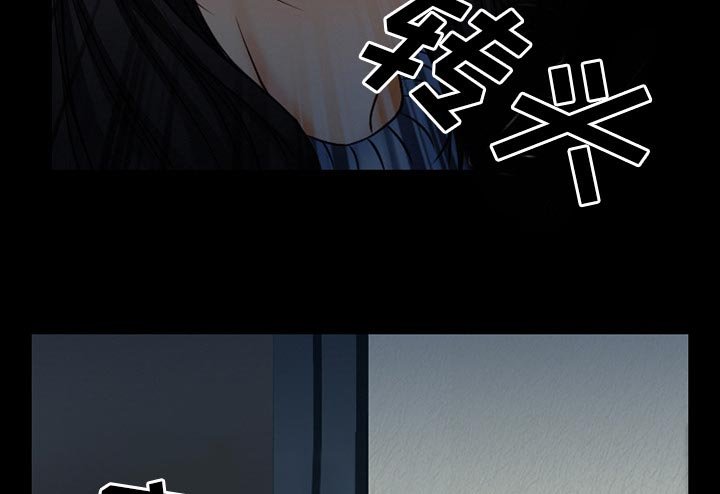 第55章：李彩英的来电