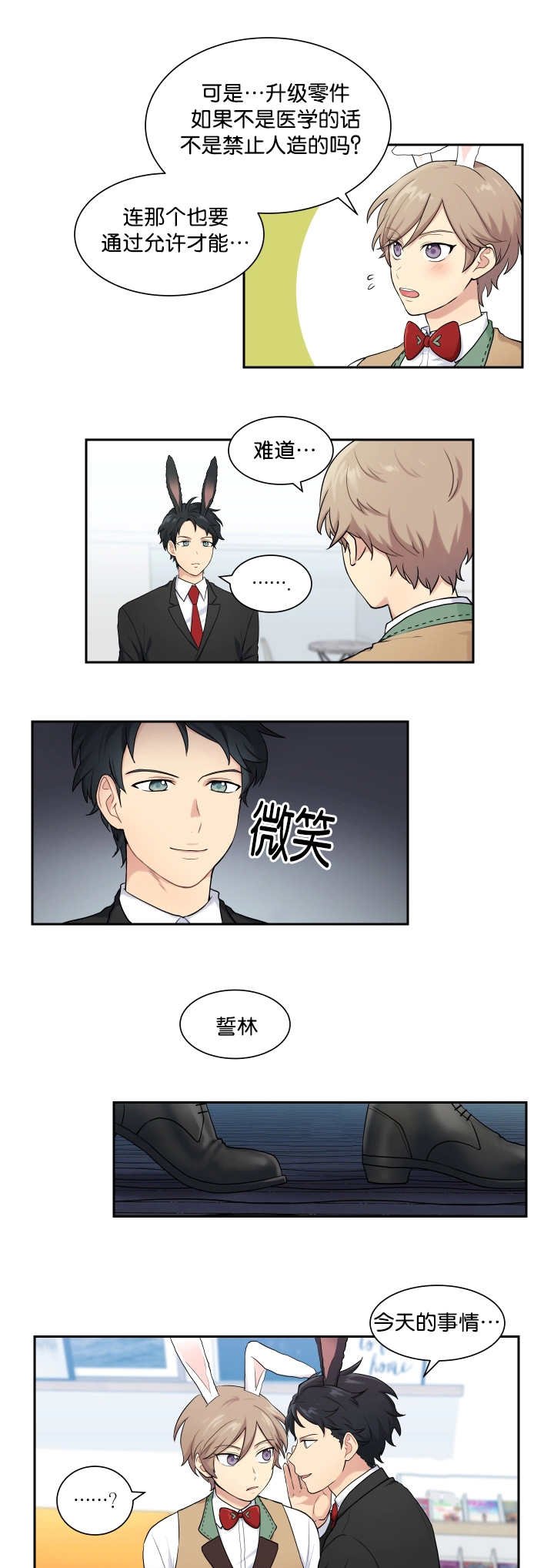 第5章：兔子主题