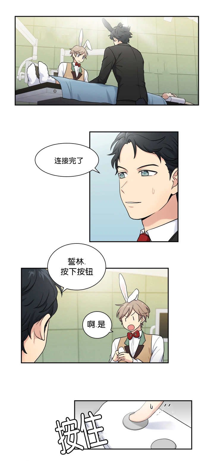 第5章：兔子主题