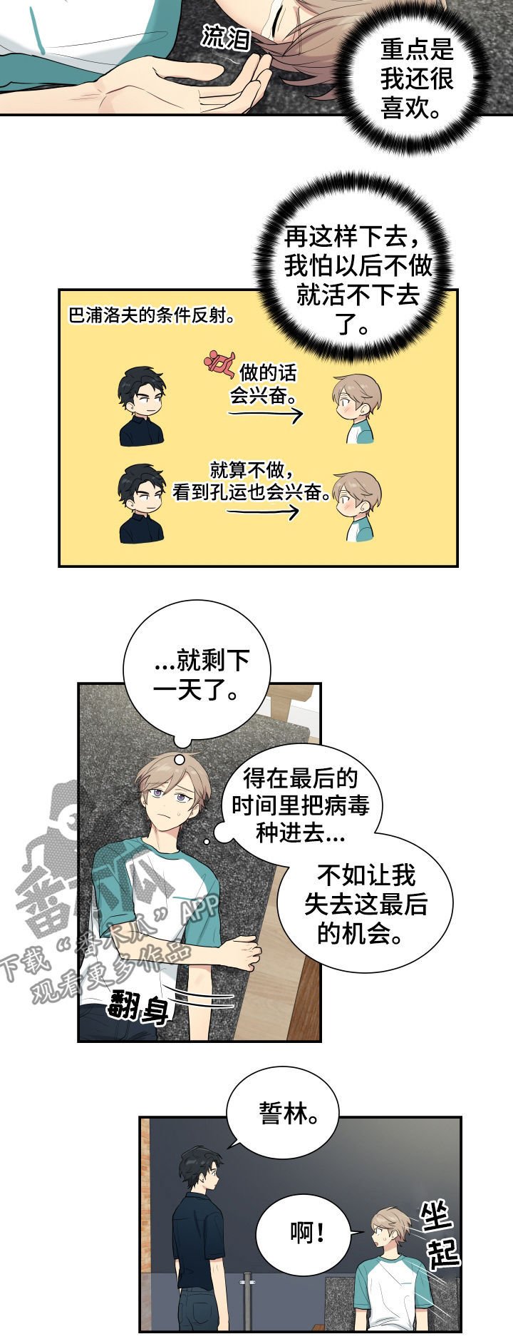 第75章：机会