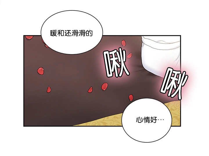 第8章：亲自测试