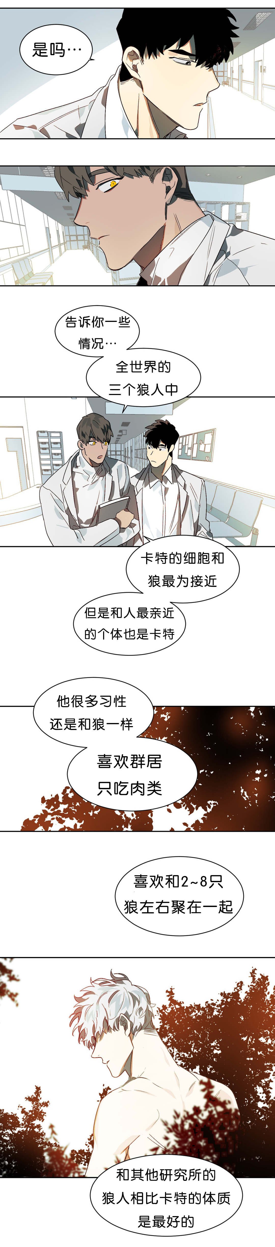 第11章：续杯概念