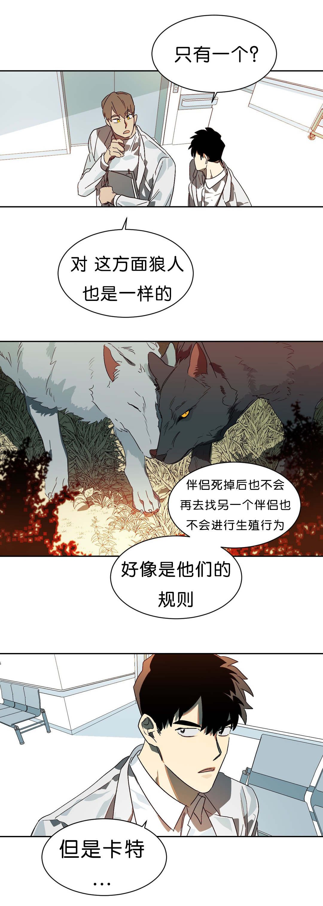 第11章：续杯概念