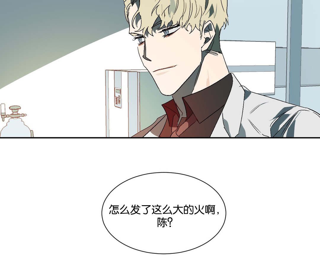 第17章：失望