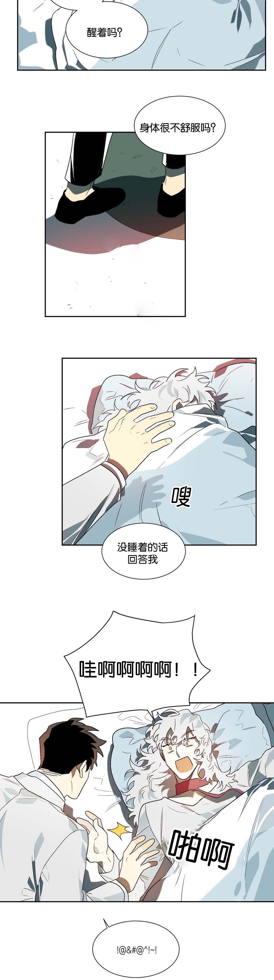 第19章：伴侣