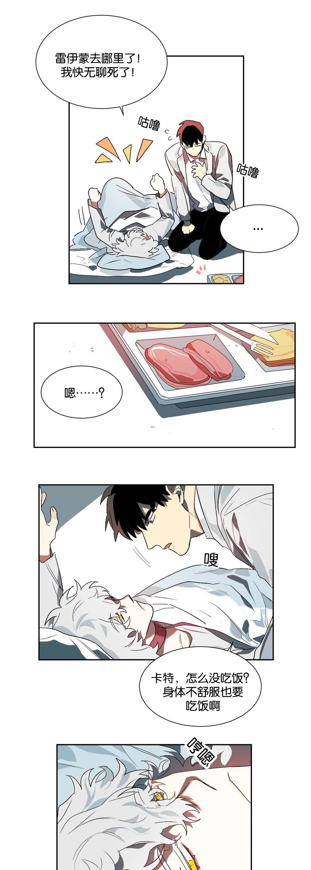 第19章：伴侣