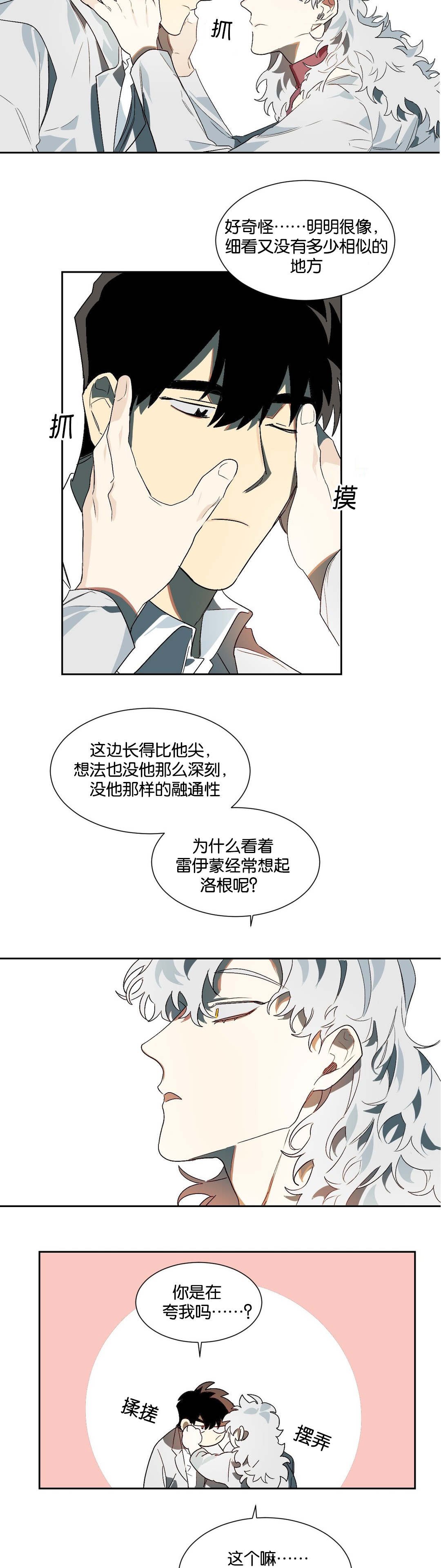 第19章：伴侣