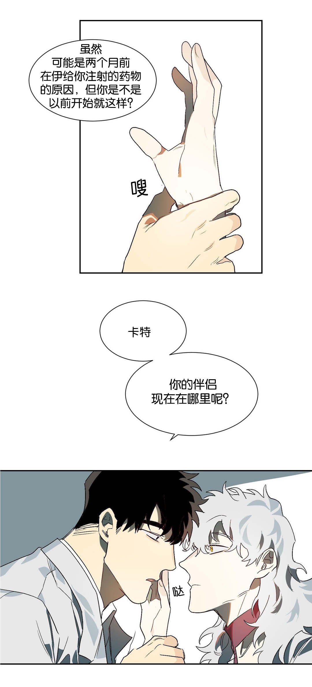 第19章：伴侣