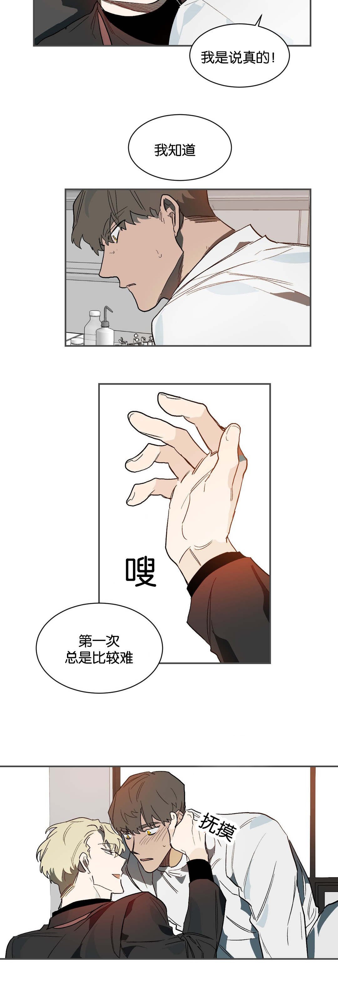 第36章：做你想做的