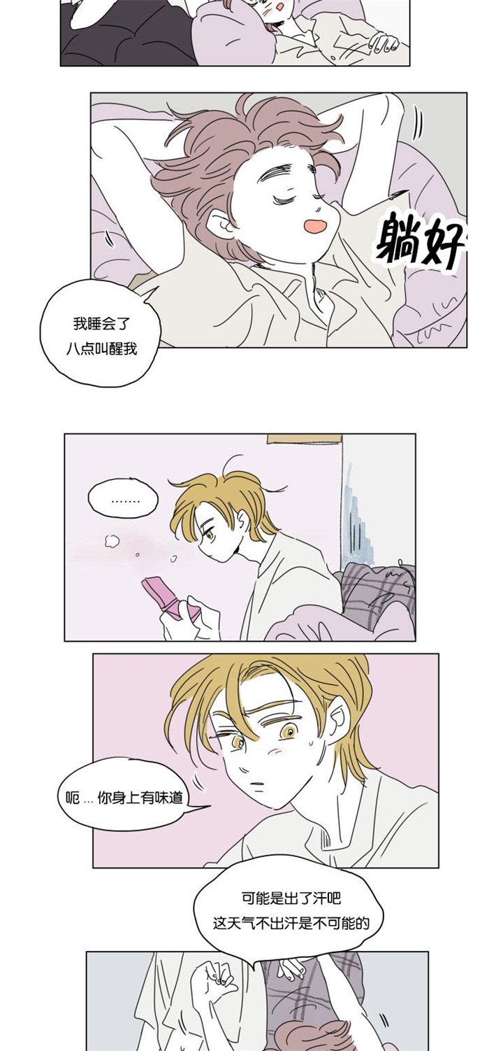 第29章：互相消失