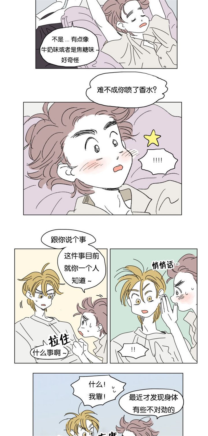 第29章：互相消失
