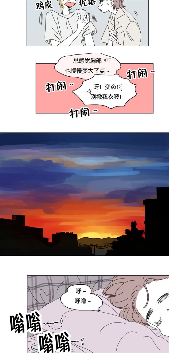 第29章：互相消失
