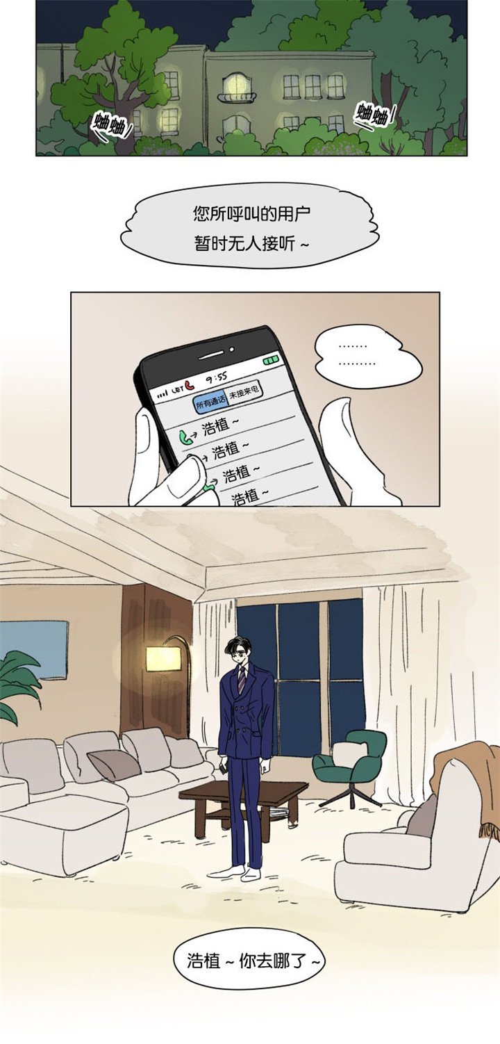 第29章：互相消失