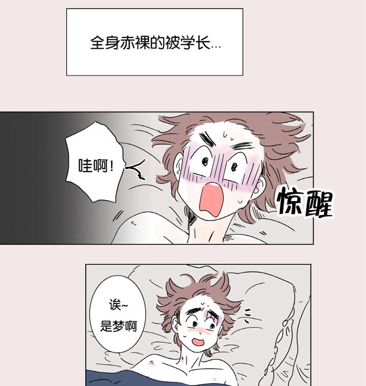 第3章：并不是梦