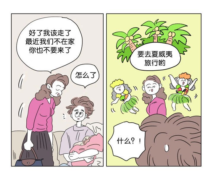 第40章：想法
