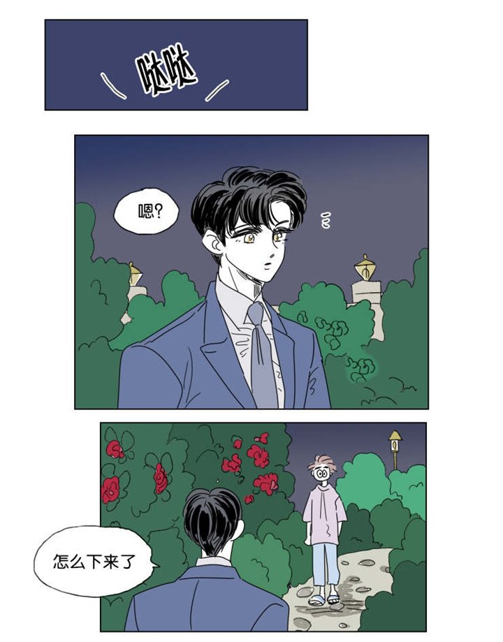 第41章：有话要说