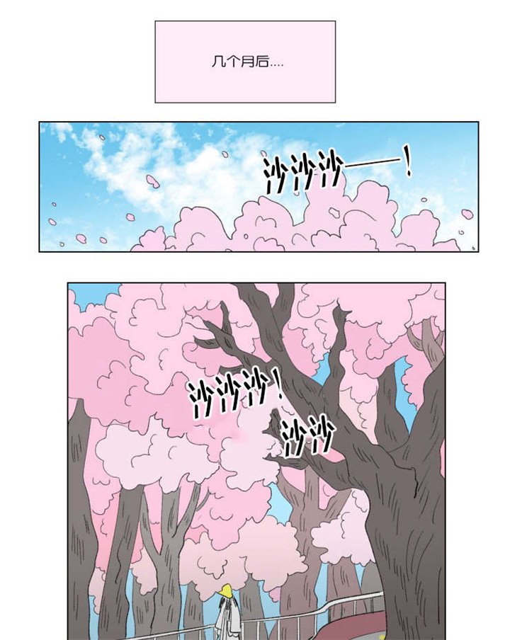 第45章：遗失