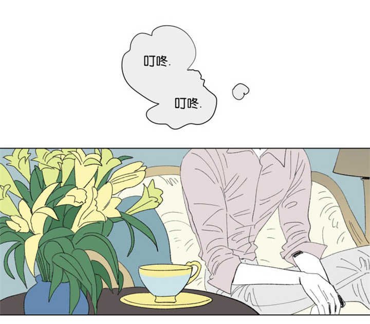 第62章：关系不错