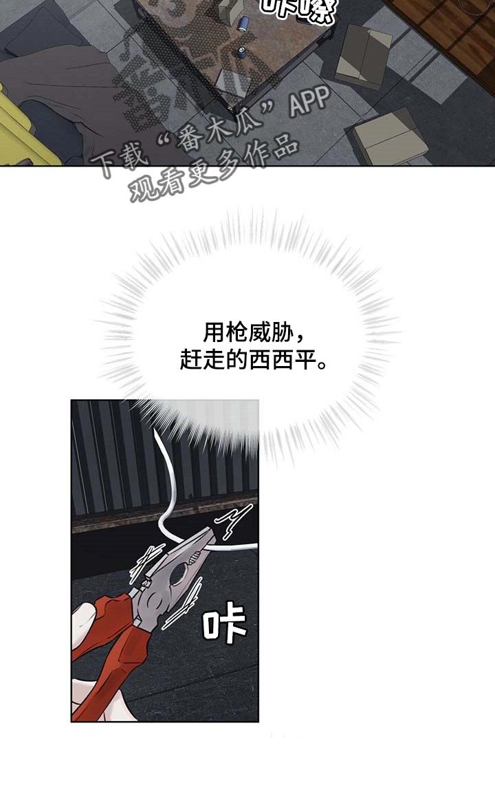 第44章：按计划行事