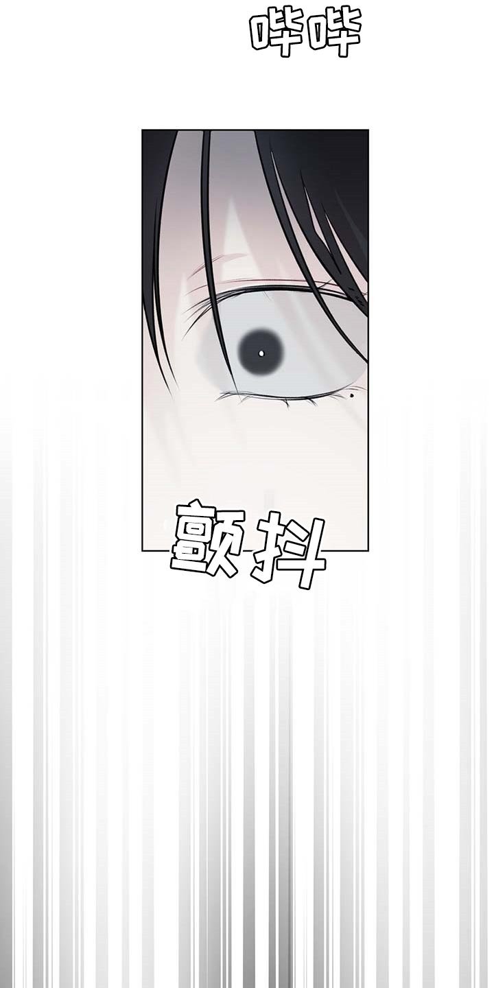 第44章：按计划行事