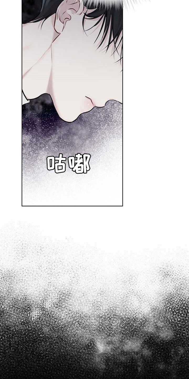 第44章：按计划行事
