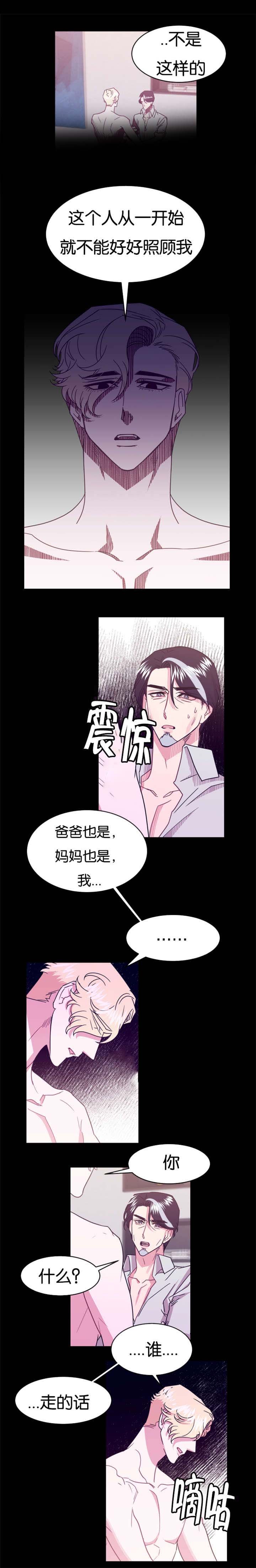 第18章：替代品