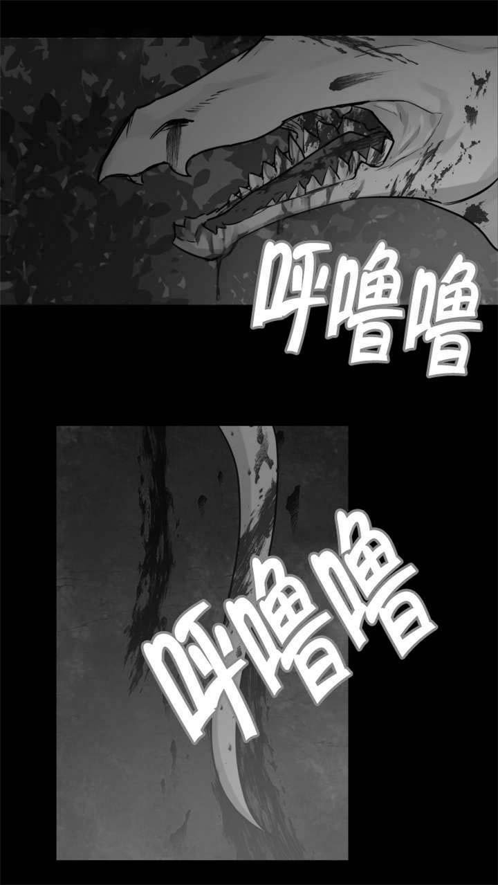 第27章：龙受伤了