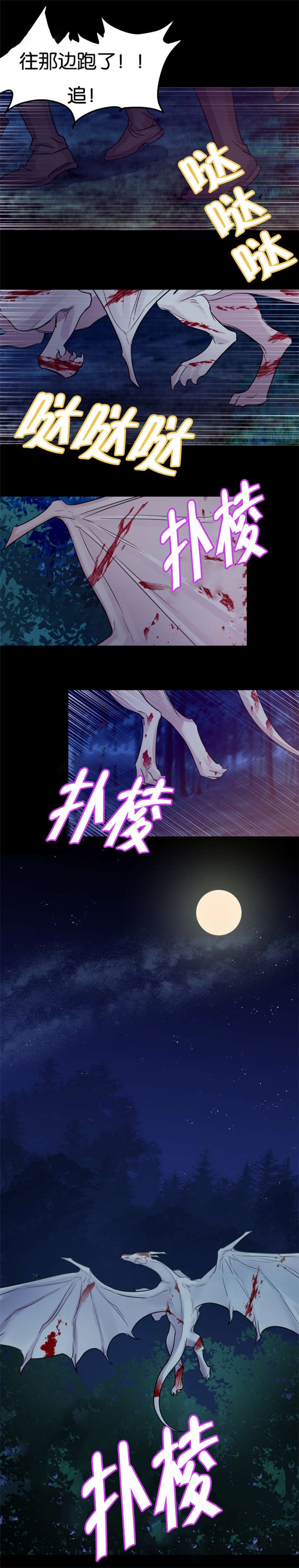 第27章：龙受伤了