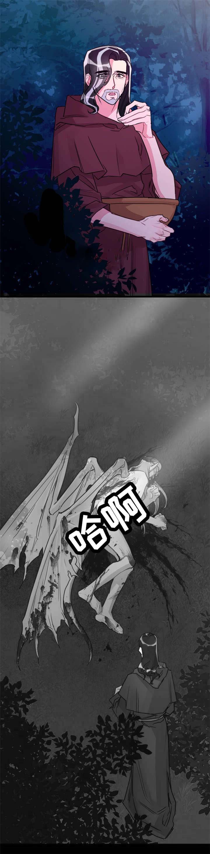 第27章：龙受伤了