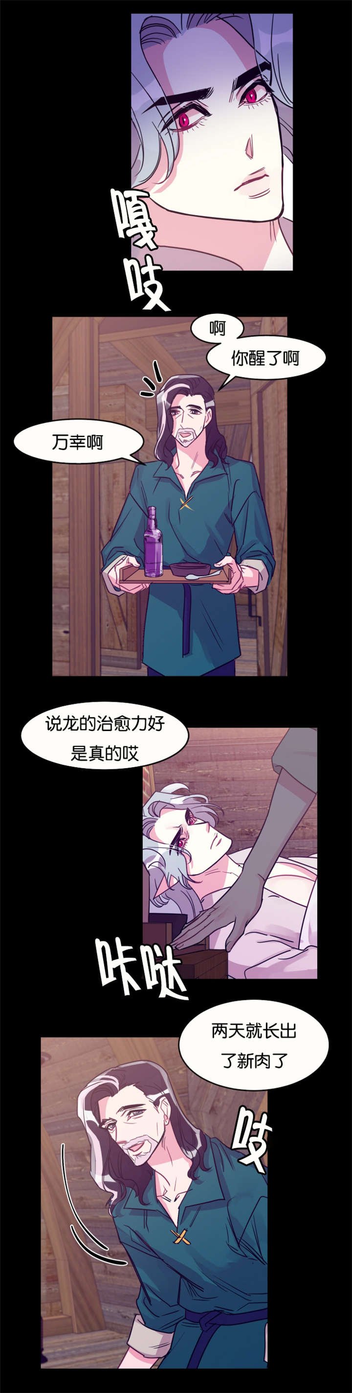 第27章：龙受伤了