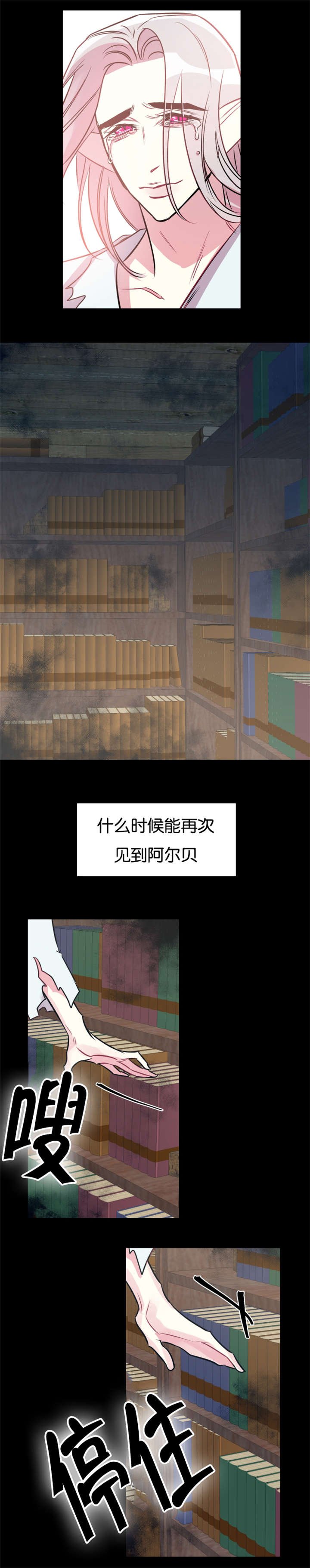 第40章：时间魔法