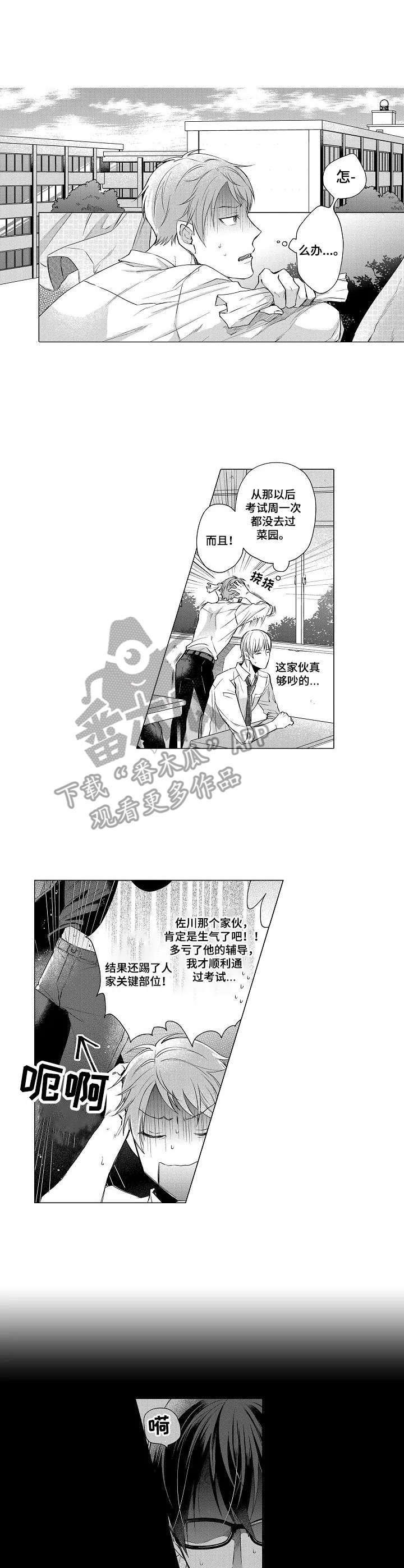 第12章：嫉妒