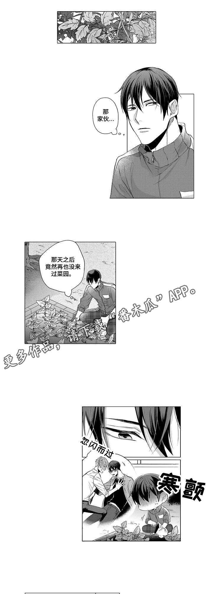 第12章：嫉妒