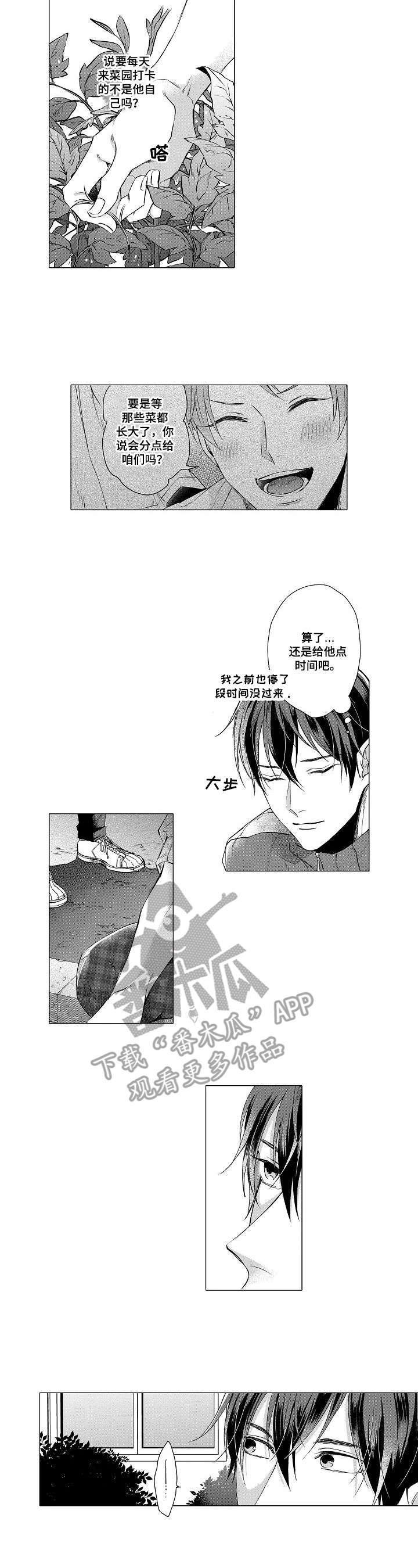 第12章：嫉妒